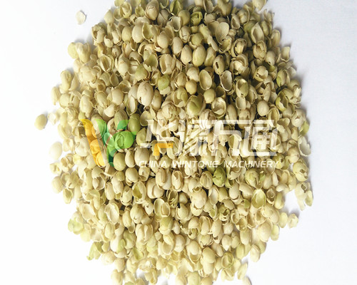 <a href=http://www.hybridh.cn/product/8/ target=_blank class=infotextkey>豌豆脫皮機</a>